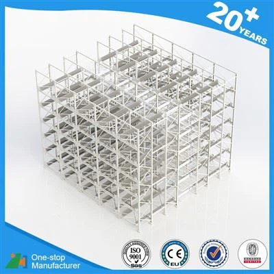 Four Way Shuttle System